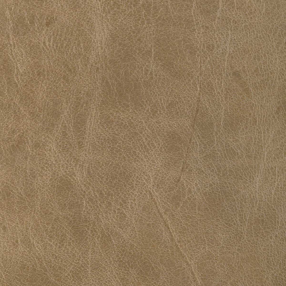 L-Brantley - Tan - KRAVET DESIGN Fabric