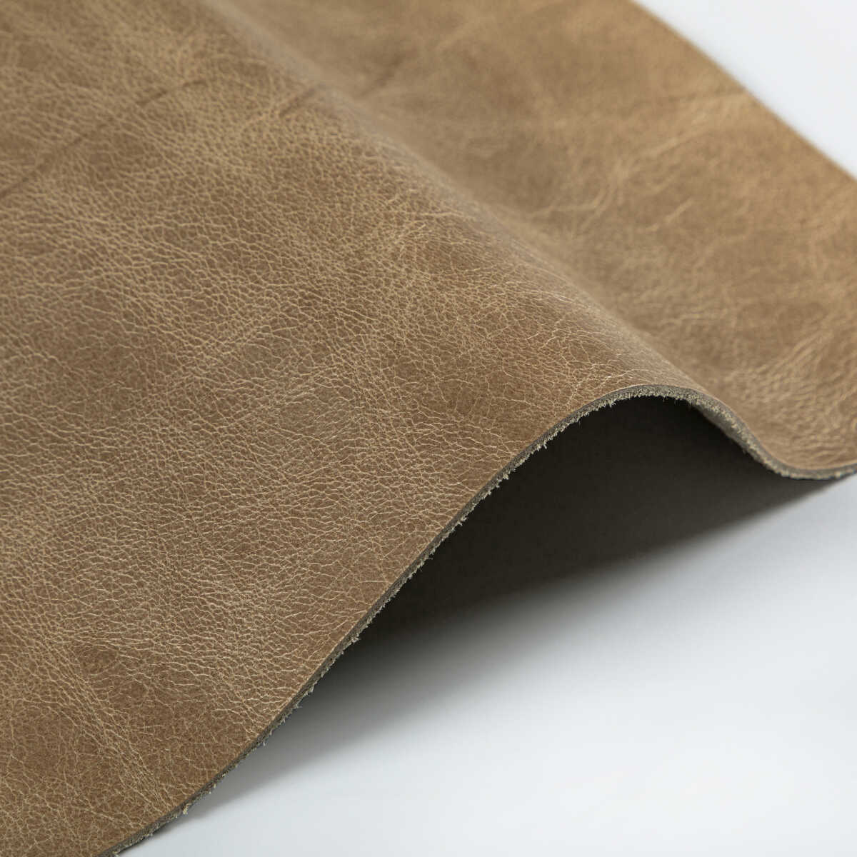 L-Brantley - Tan - KRAVET DESIGN Fabric