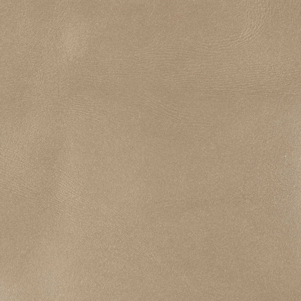 Kravet Couture - L-Brockway-Putty - KRAVET COUTURE Fabric