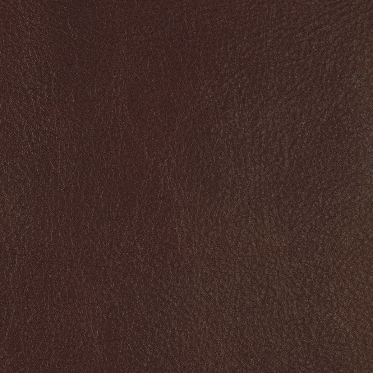 Kravet Design - L-Cannon-Hickory