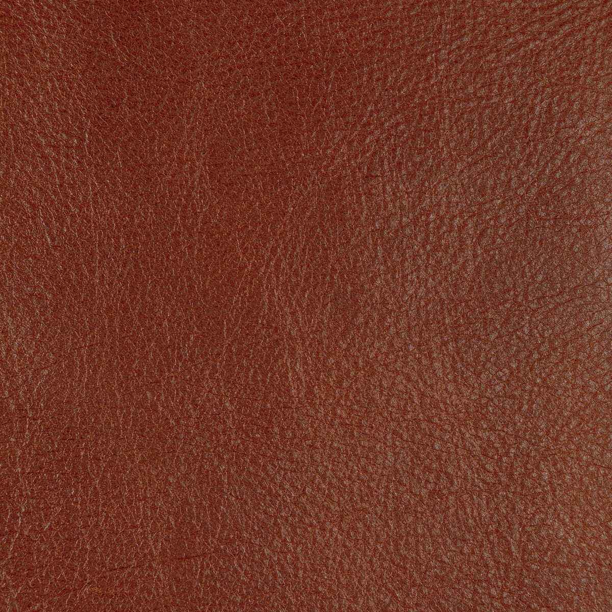 Lcannonsienna0 Kravet Design L Cannon Sienna Kravet Design Fabric - KRAVET DESIGN Fabric