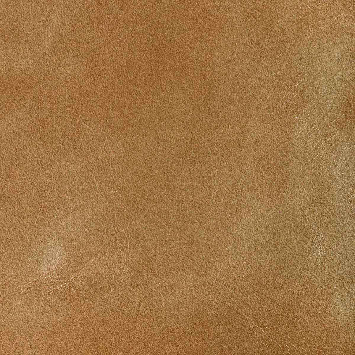 Lchanteyburlywood0 Kravet Design L Chantey Burlywood Kravet Design Fabric