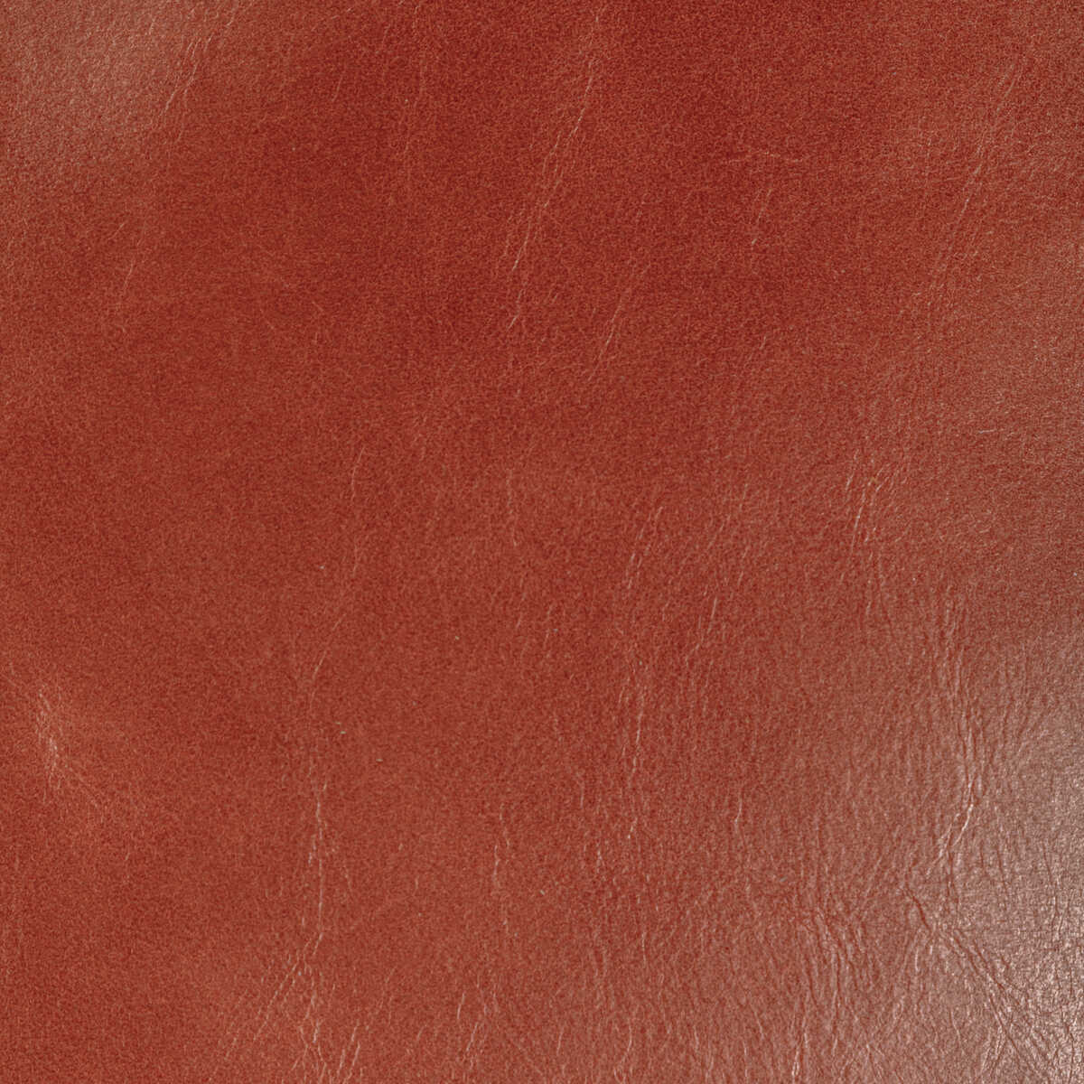 Kravet Design - L-Chantey-Rust - KRAVET DESIGN Fabric