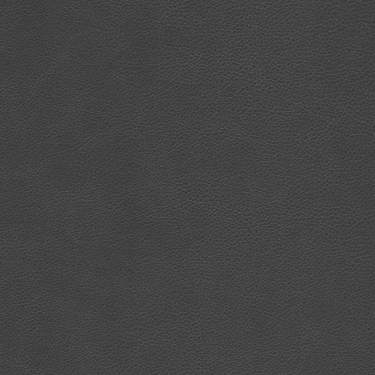 Kravet Design - L-Cimarron-Charcoal - KRAVET DESIGN Fabric
