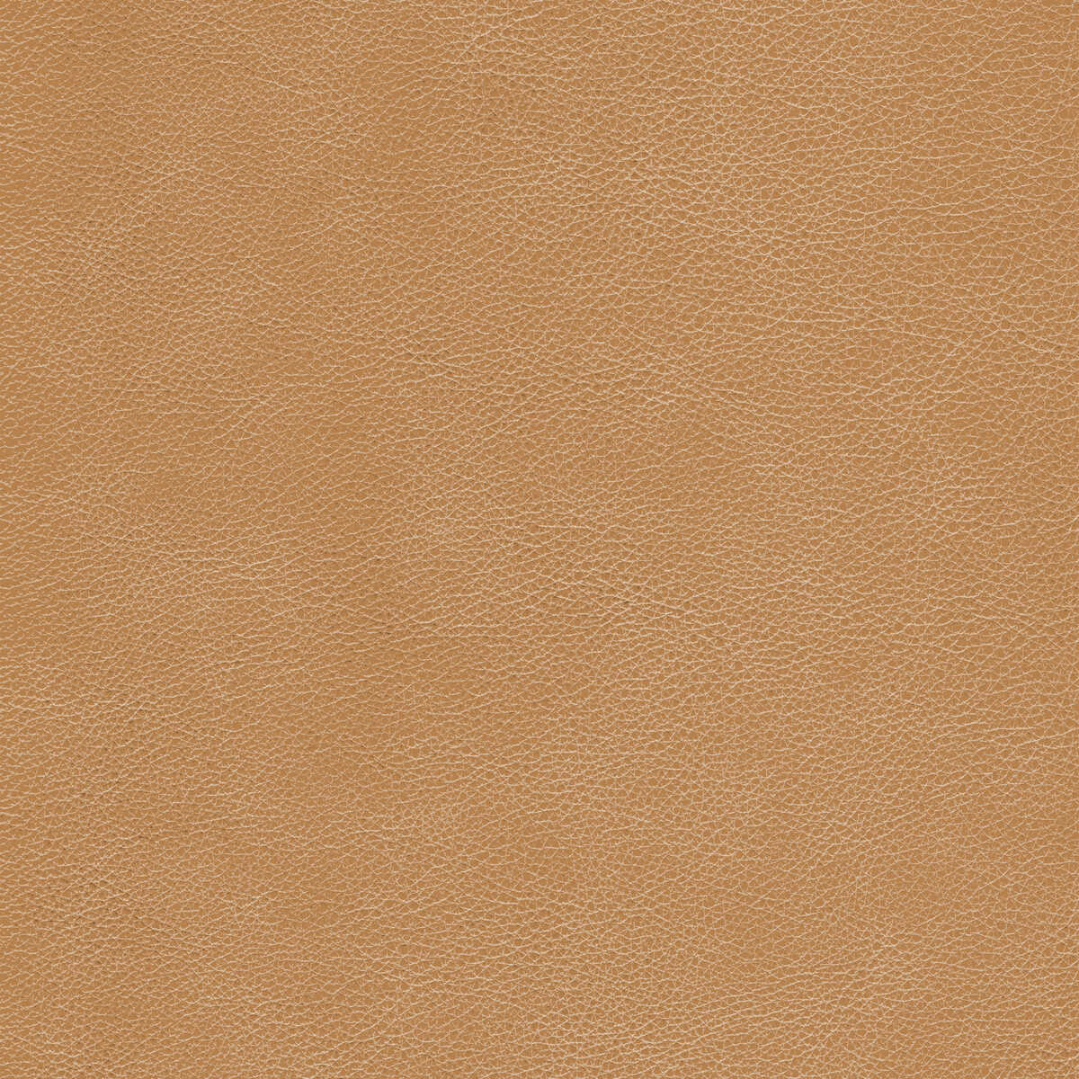 Kravet Design - L-Cimarron-Chestnut - KRAVET DESIGN Fabric