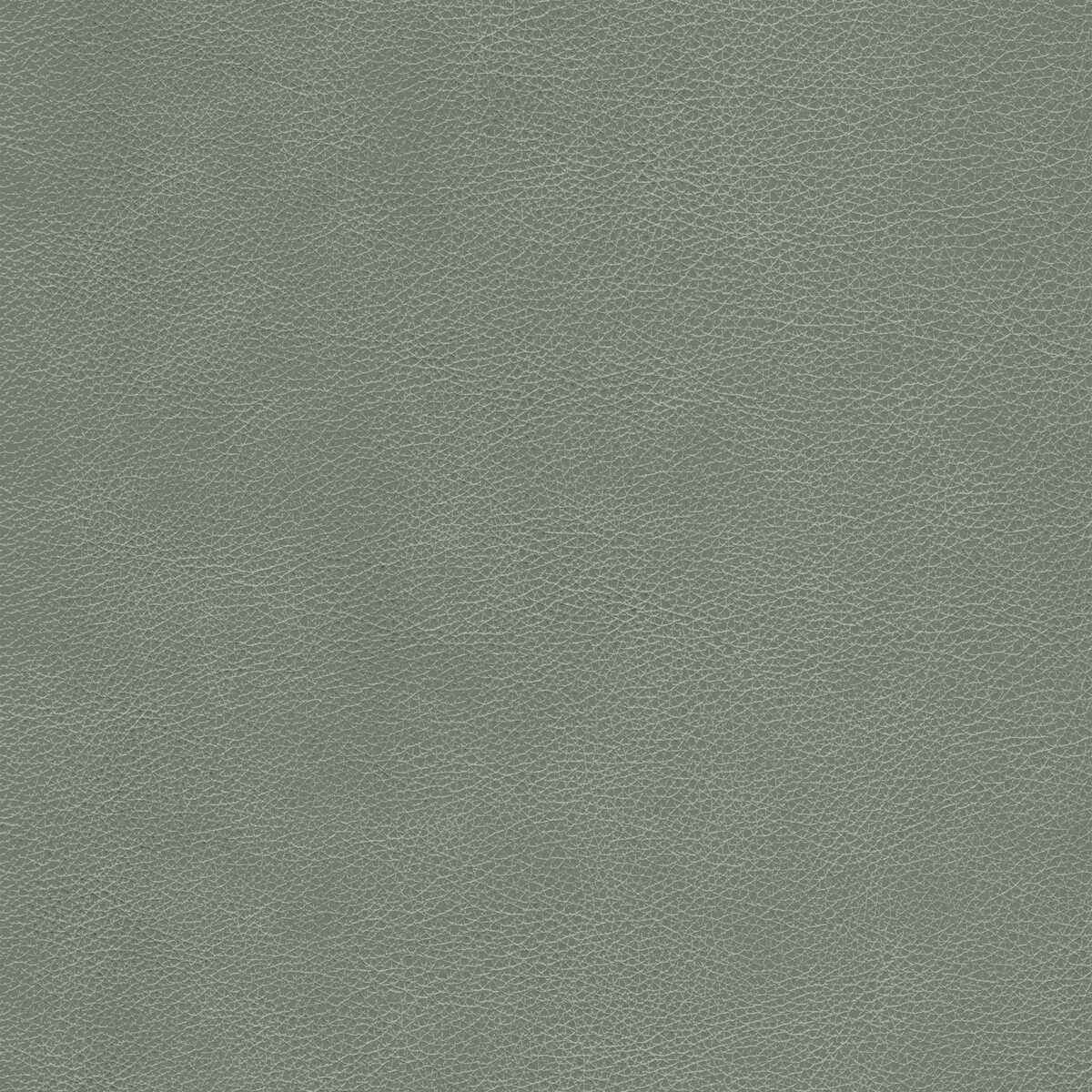 Lcimarronelephant0 Kravet Design L Cimarron Elephant Kravet Design Fabric - KRAVET DESIGN Fabric