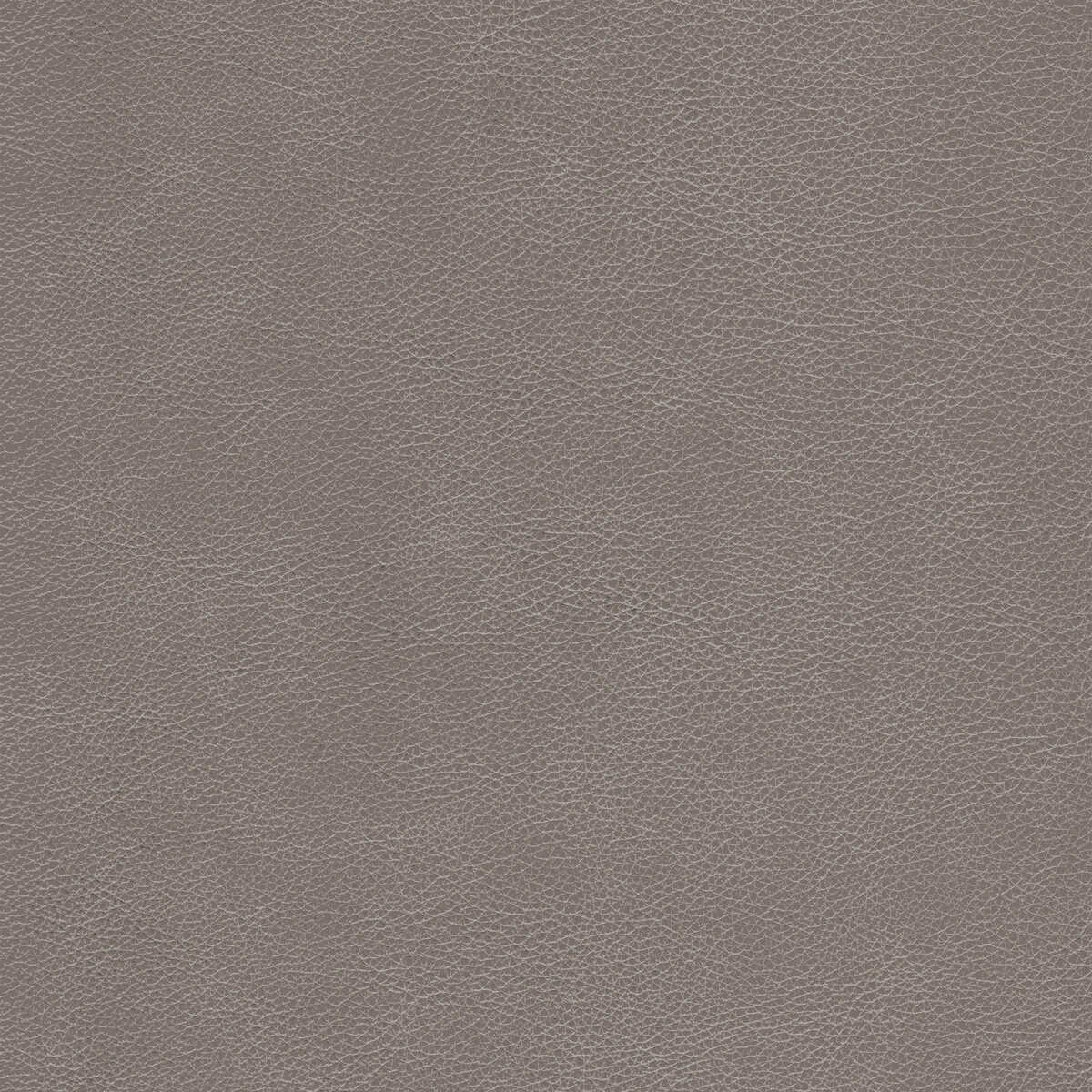 Kravet Design - L-Cimarron-Fawn - KRAVET DESIGN Fabric