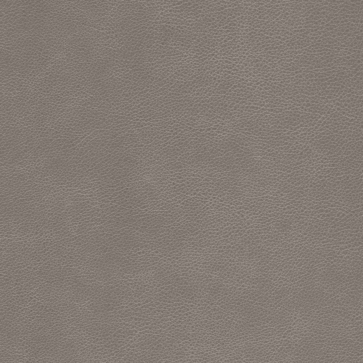 Lcimarronfawn0 Kravet Design L Cimarron Fawn Kravet Design Fabric - KRAVET DESIGN Fabric
