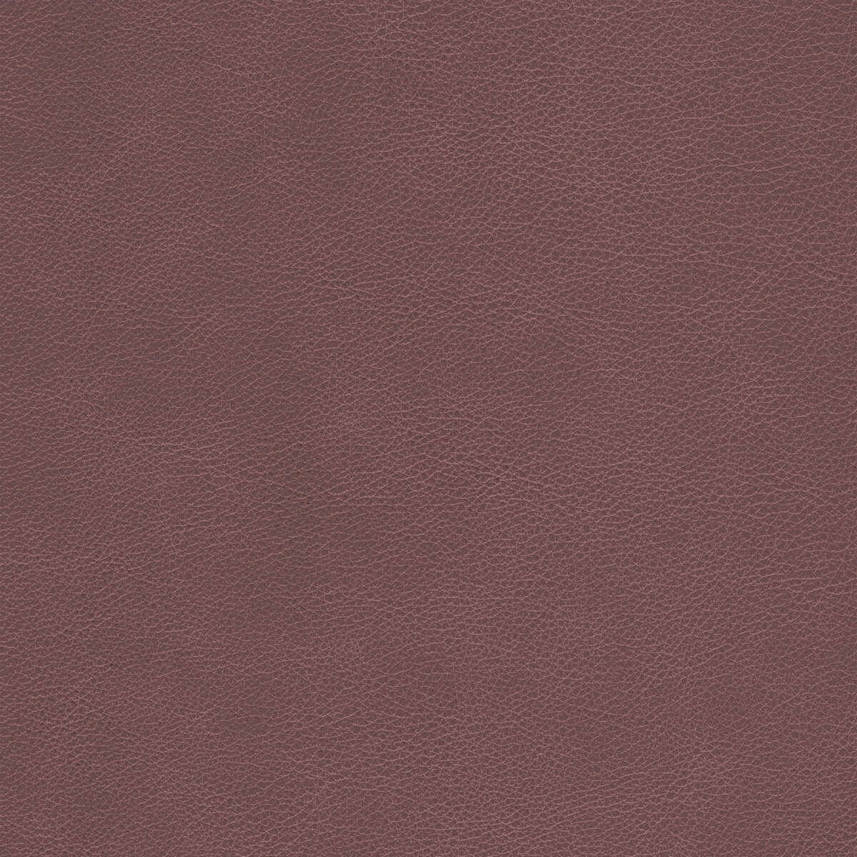 Kravet Design - L-Cimarron-Whiskey - KRAVET DESIGN Fabric