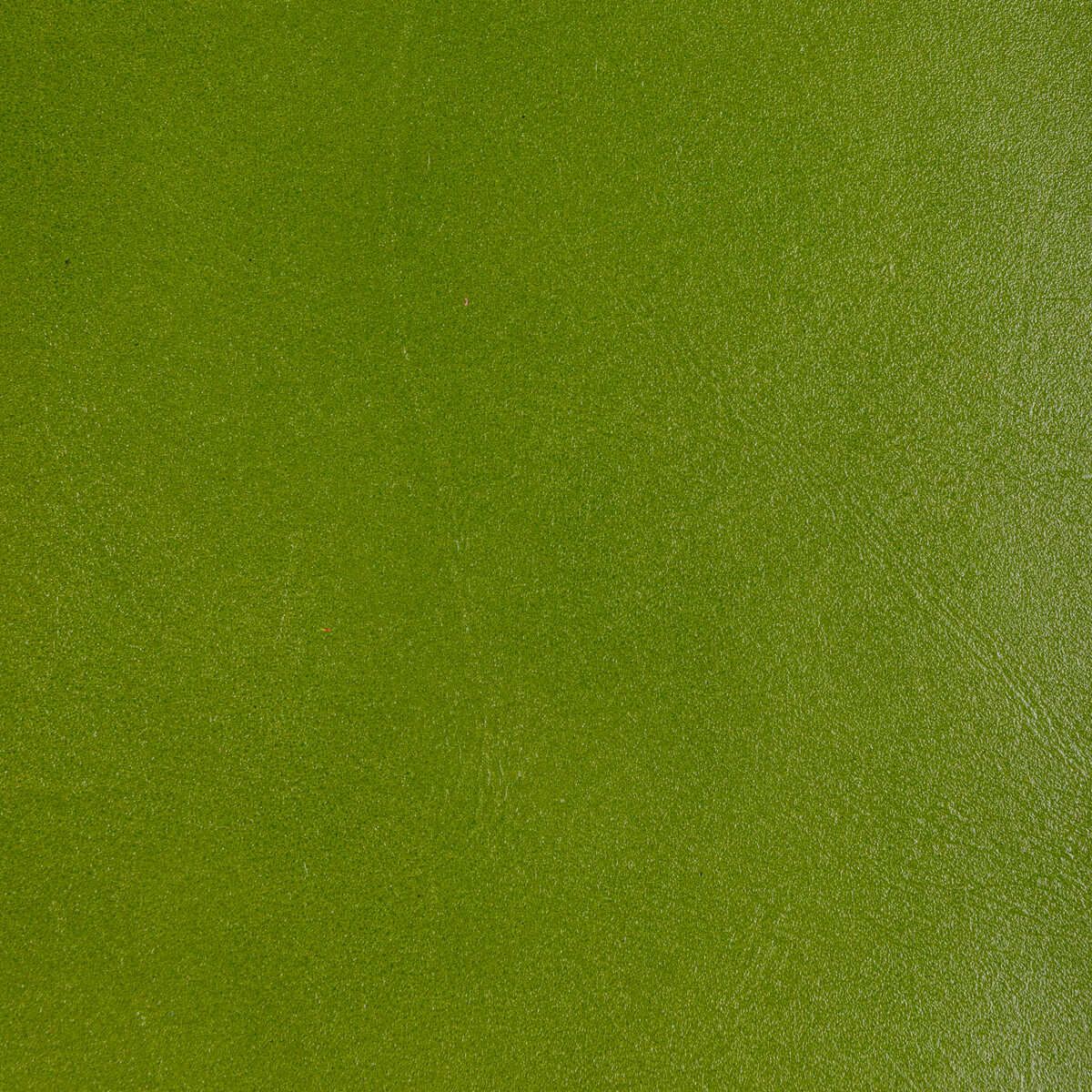 Kravet Design - L-Coffer-Lime - KRAVET DESIGN Fabric
