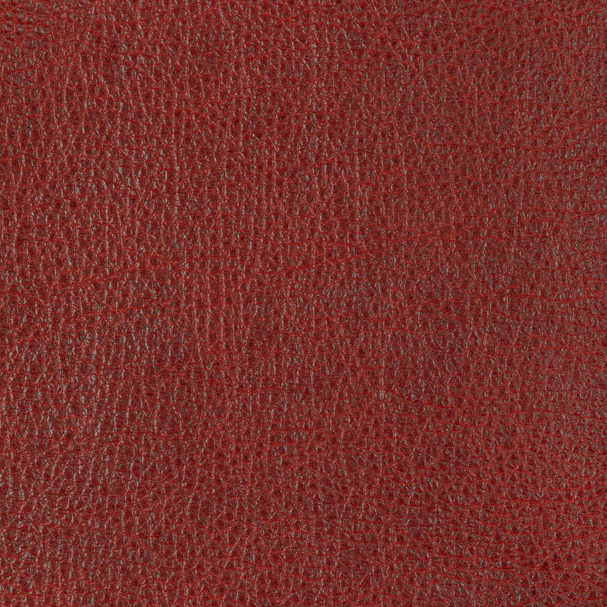 L-Coil - Cherry - KRAVET DESIGN Fabric