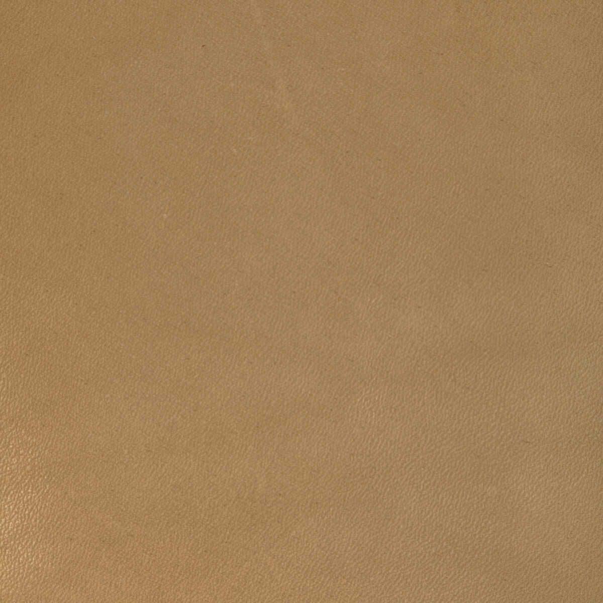 Kravet Design - L-Coiro-Camel - KRAVET DESIGN Fabric