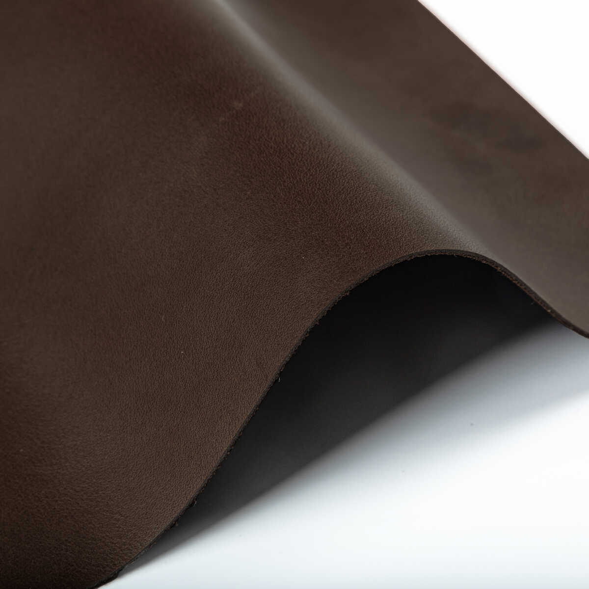 Kravet Design - L-Coiro-Molasses - KRAVET DESIGN Fabric