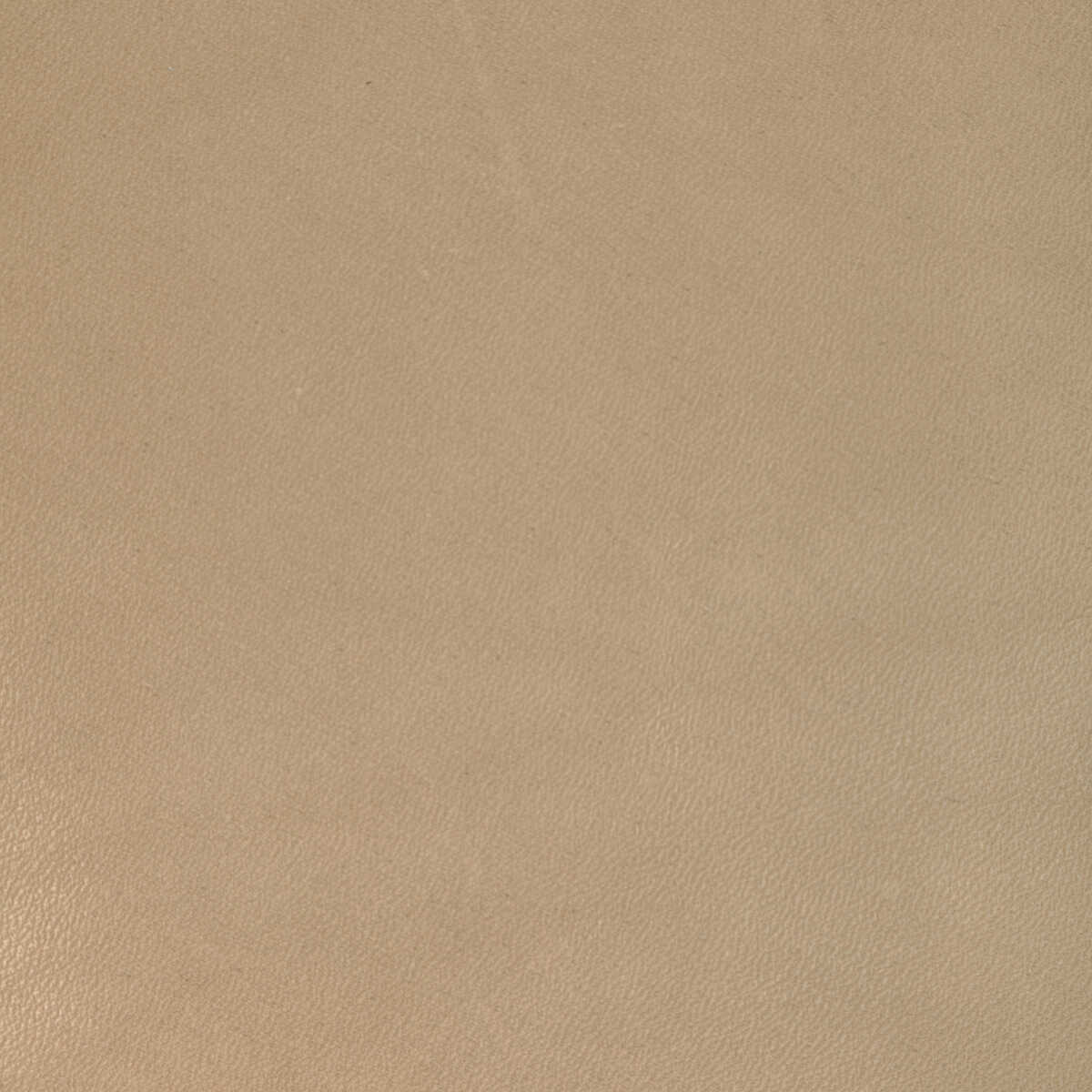 Kravet Design - L-Coiro-Tan - KRAVET DESIGN Fabric