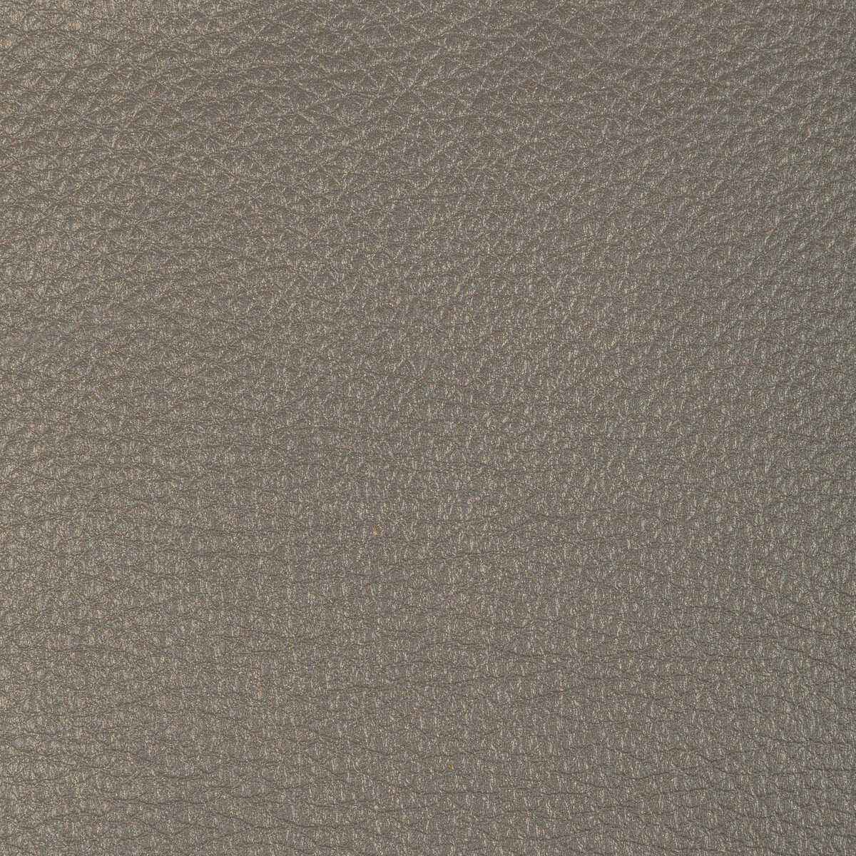 Lconchaselephant0 Kravet Design L Conchas Elephant Kravet Design Fabric - KRAVET DESIGN Fabric