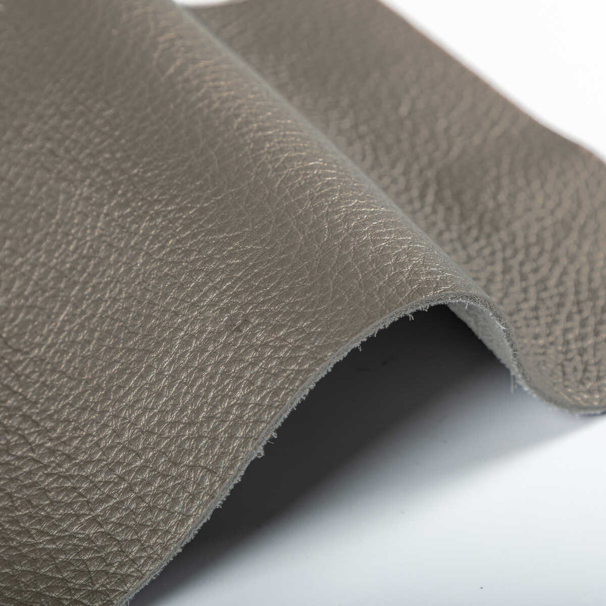 Kravet Design - L-Conchas-Elephant - KRAVET DESIGN Fabric