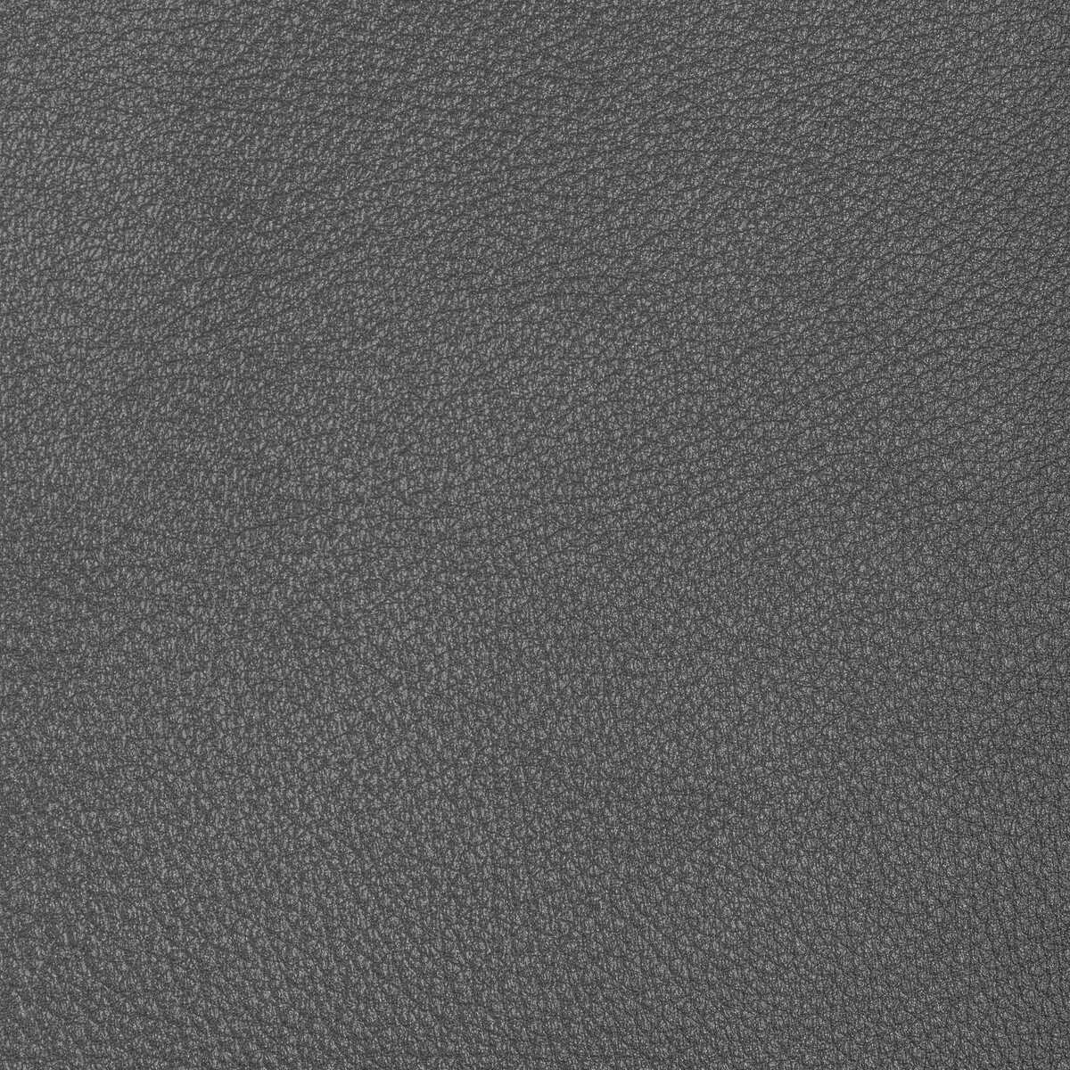 Kravet Design - L-Conchas-Steel - KRAVET DESIGN Fabric