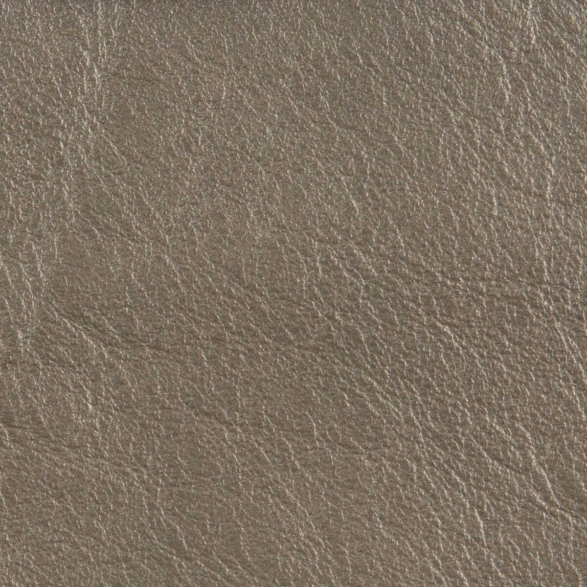 L-Country - Platinum - KRAVET DESIGN Fabric