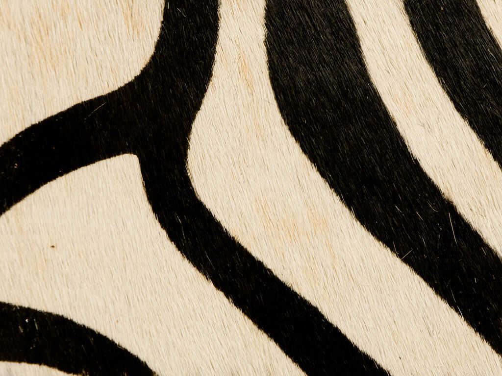 Painted Zebra - Natural - KRAVET COUTURE Fabric
