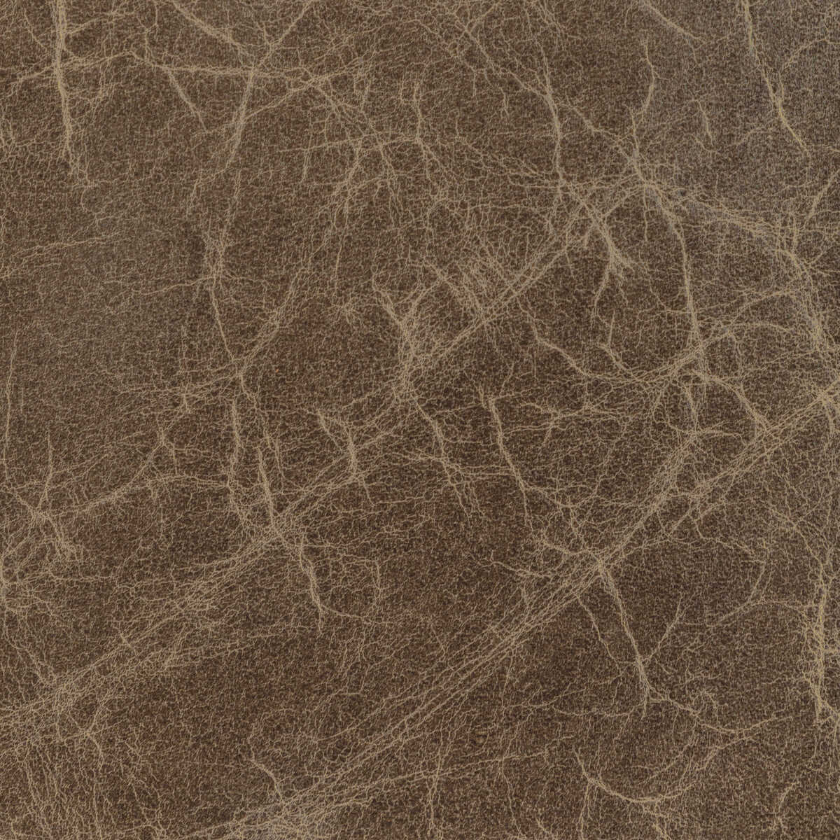 Kravet Design - L-De Baca-Stone - KRAVET DESIGN Fabric