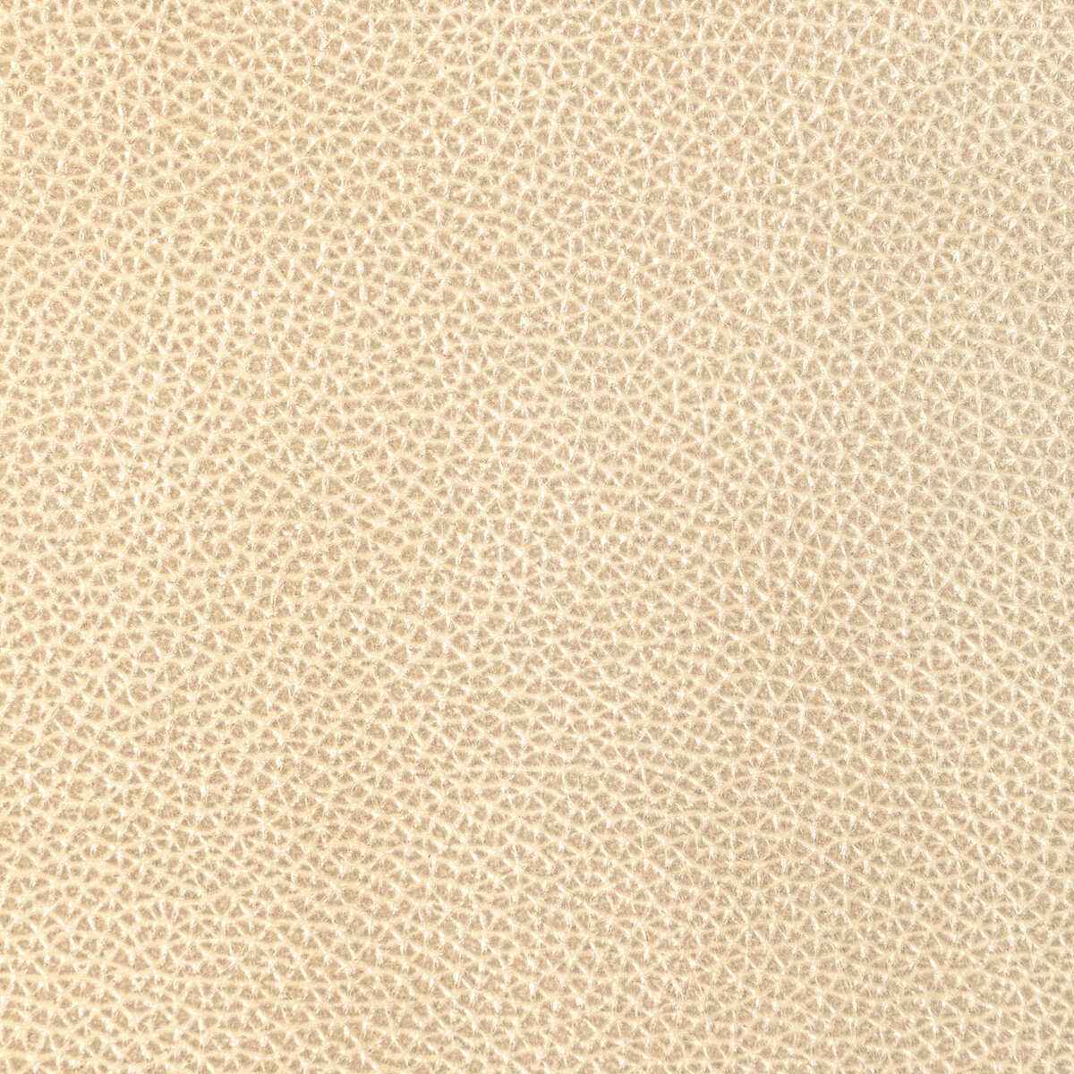 Ldixiechampagne0 Kravet Design L Dixie Champagne Kravet Design Fabric
