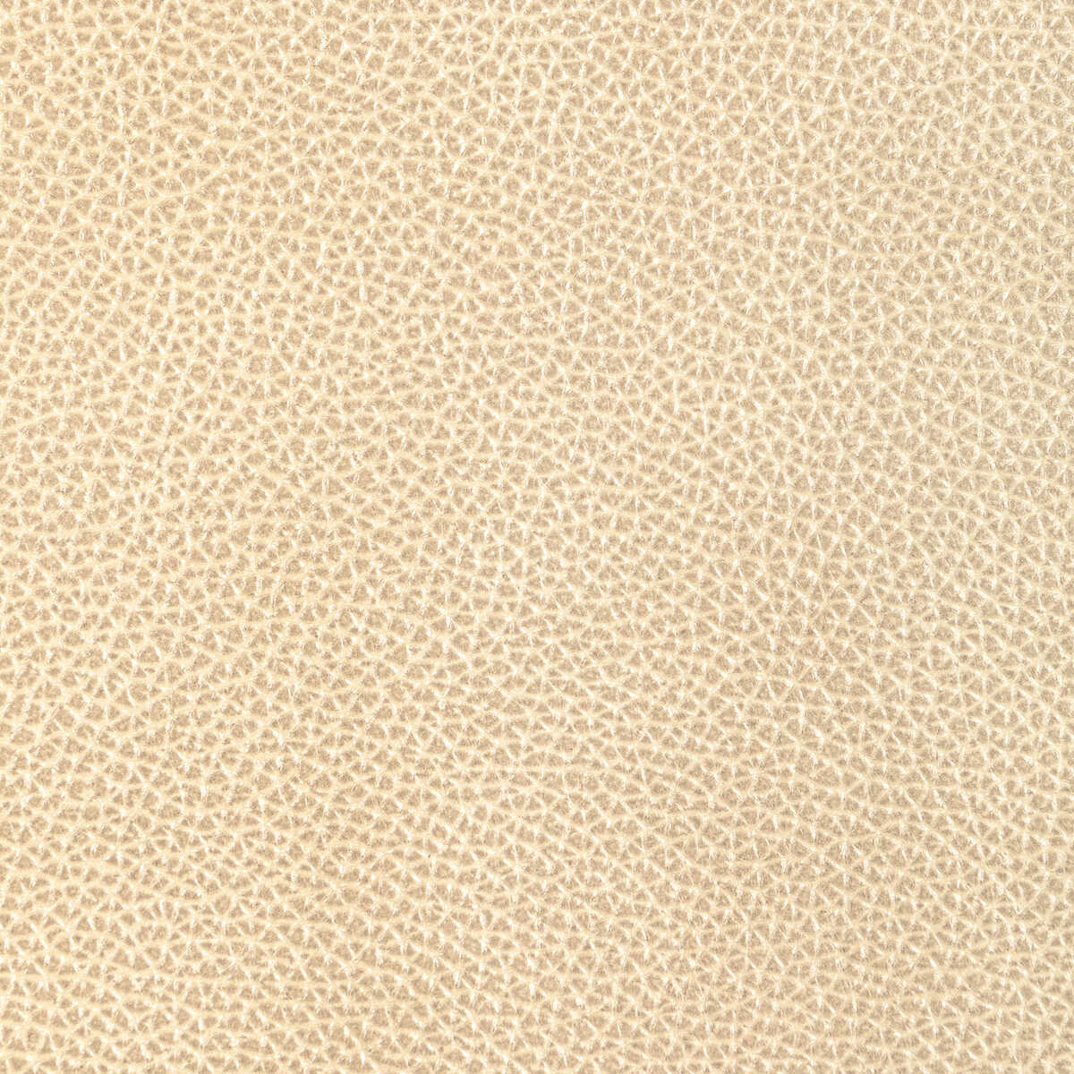 Kravet Design - L-Dixie-Champagne - KRAVET DESIGN Fabric