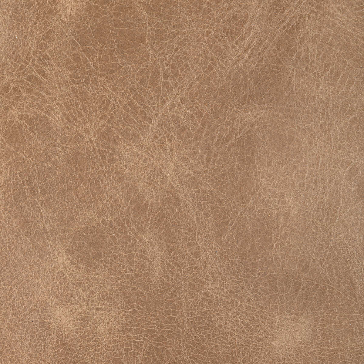 Kravet Design - L-Drovers-Peanut - KRAVET DESIGN Fabric
