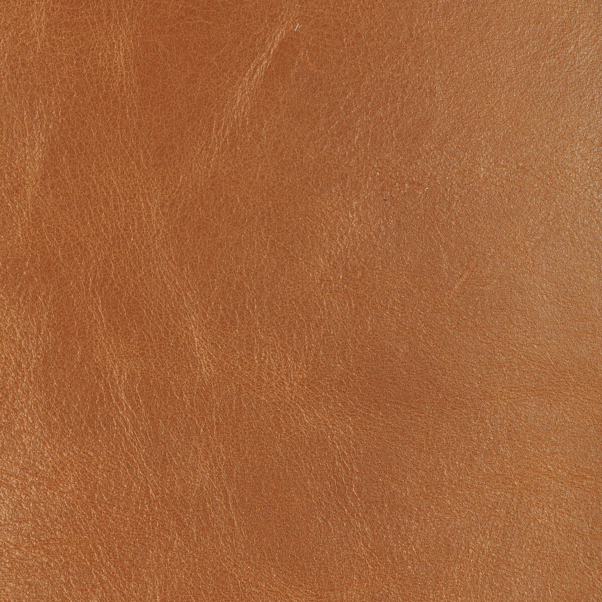Kravet Design - L-Drovers-Saddle - KRAVET DESIGN Fabric