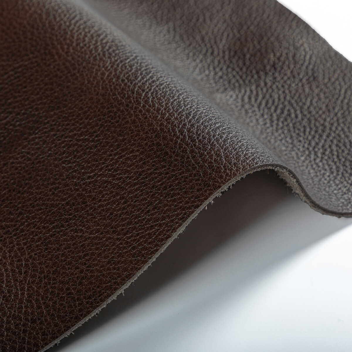 Kravet Design - L-El Cerro-Espresso - KRAVET DESIGN Fabric