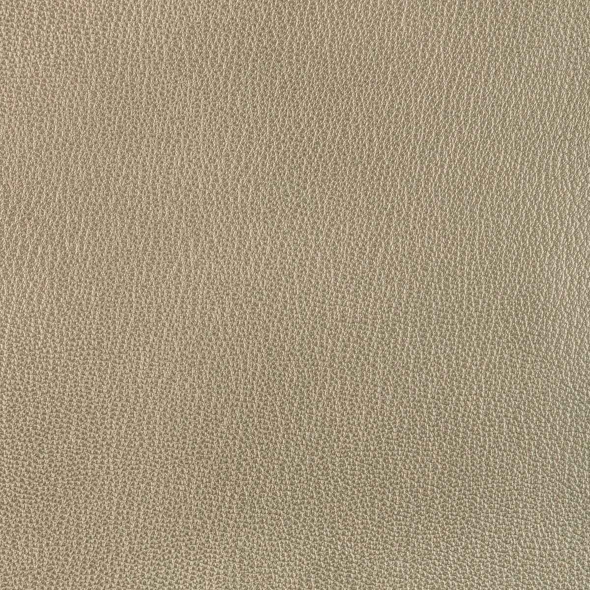 Lelritogold0 Kravet Design L El Rito Gold Kravet Design Fabric