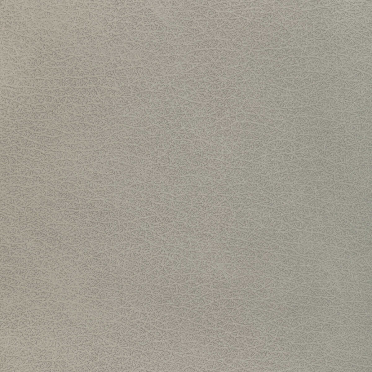 Kravet Design - L-El Vado-Stone - KRAVET DESIGN Fabric