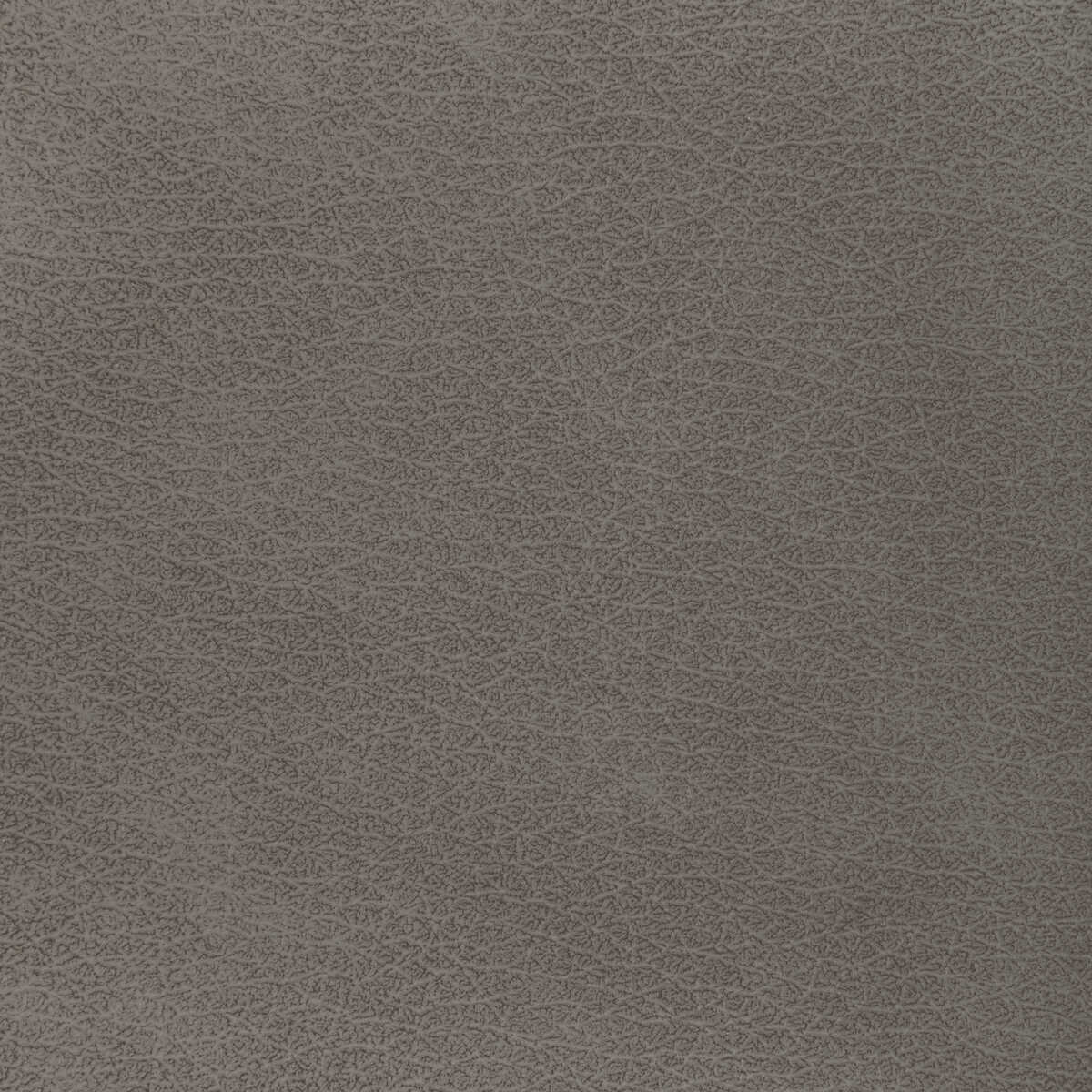 Kravet Design - L-El Vado-Taupe - KRAVET DESIGN Fabric