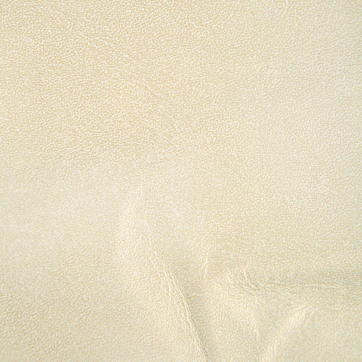L-Glisten - Gold - KRAVET COUTURE Fabric