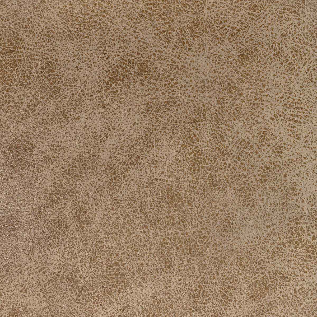 Lgrangecamel0 Kravet Design L Grange Camel Kravet Design Fabric - KRAVET DESIGN Fabric