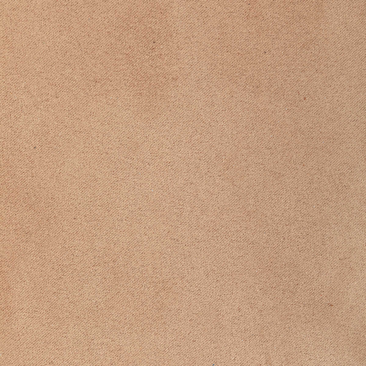 Kravet Design - L-Halter-Latte - KRAVET DESIGN Fabric
