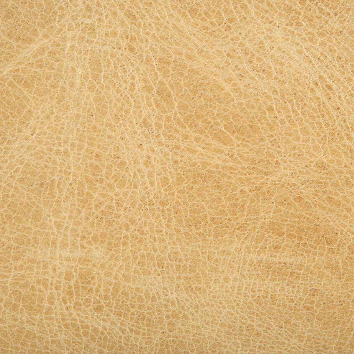 Lhauteblonde0 Kravet Couture L Haute Blonde Kravet Couture Fabric