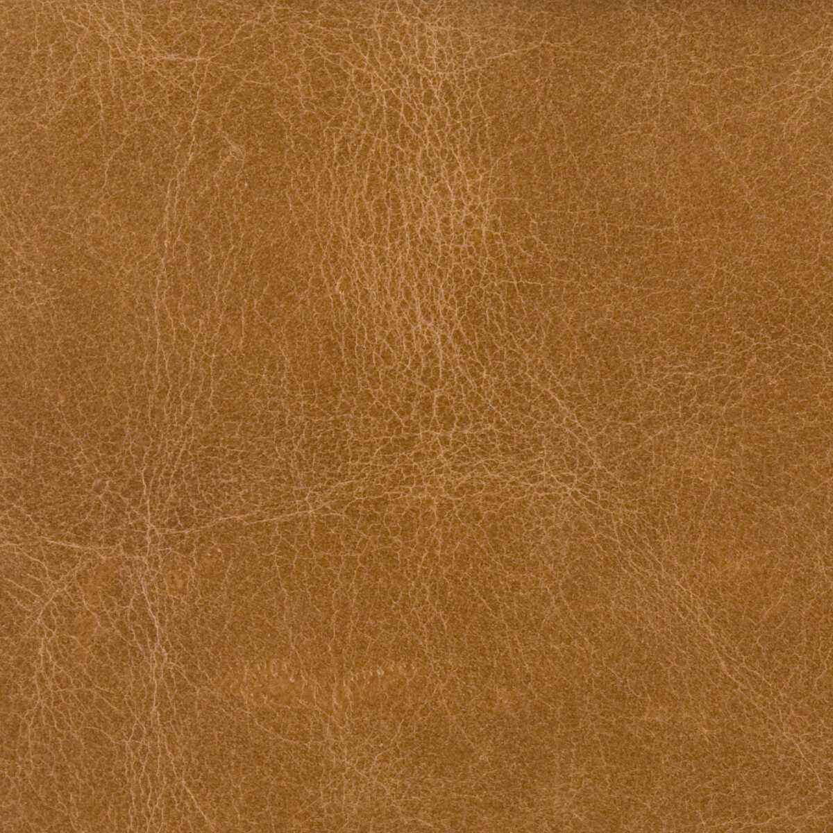 Lcosmobuck0 Kravet Couture L Cosmo Buck Kravet Couture Fabric