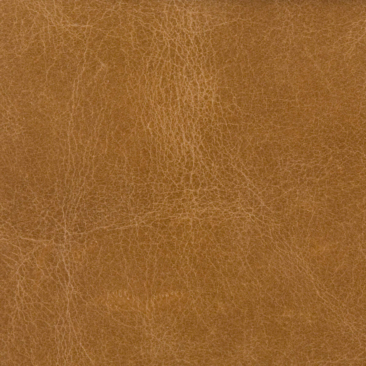 Kravet Couture - L-Haute-Camel - KRAVET COUTURE Fabric