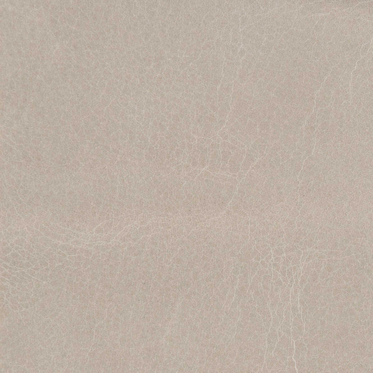 Kravet Couture - L-Cosmo-Granite - KRAVET COUTURE Fabric