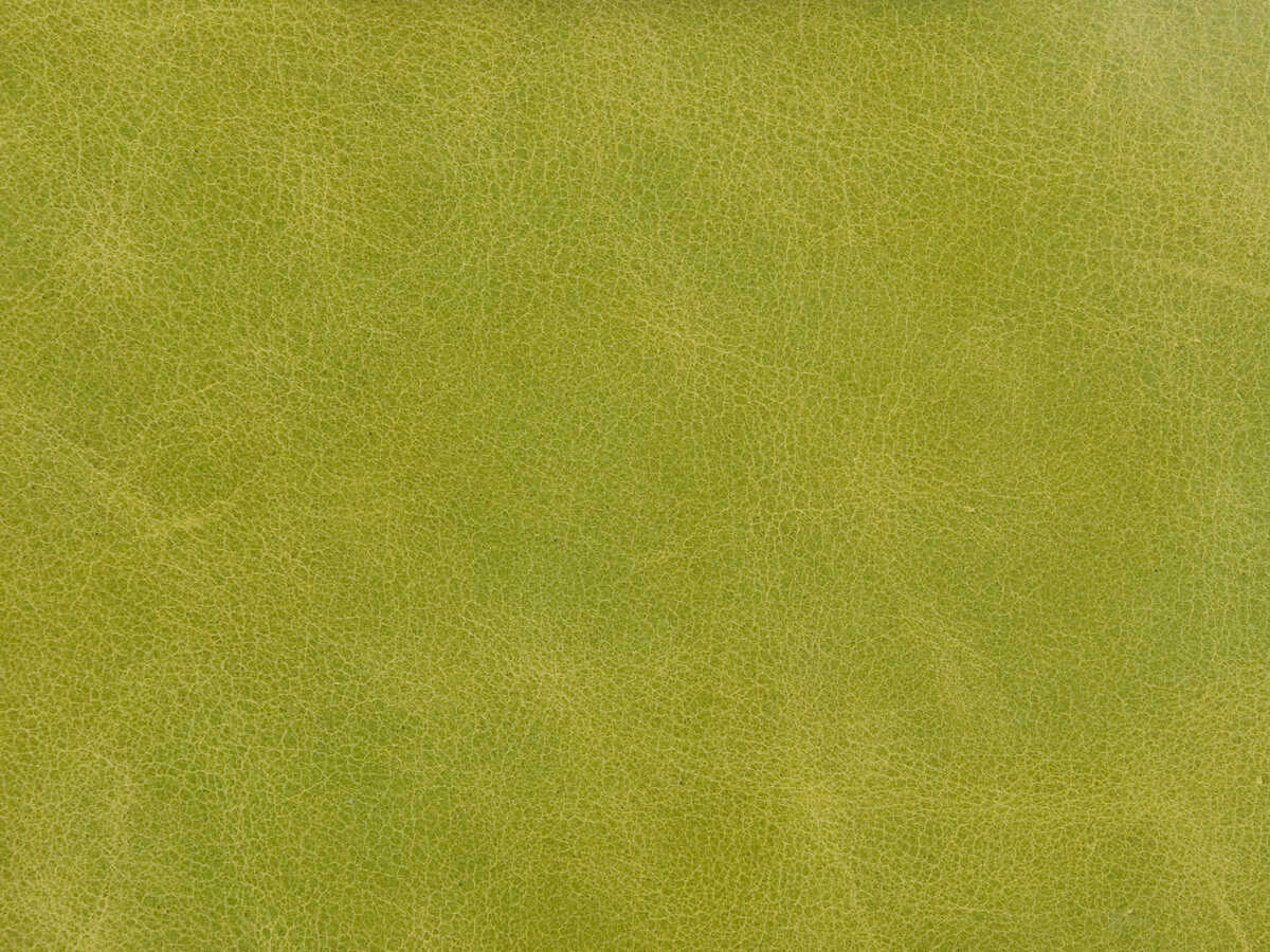 Kravet Couture - L-Haute-Chartreuse - KRAVET COUTURE Fabric