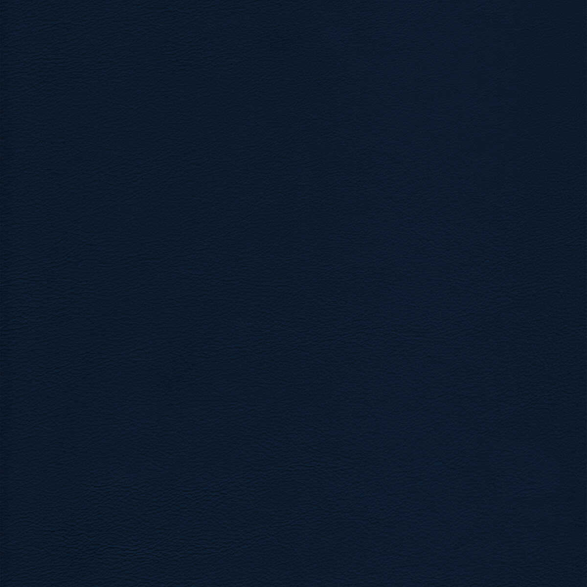 Kravet Design - L-Howdy-Admiral - KRAVET DESIGN Fabric