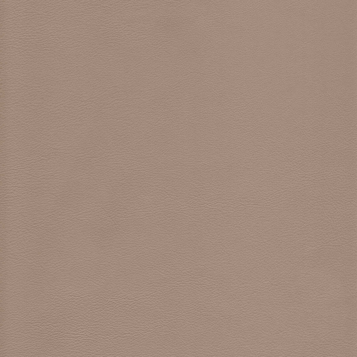 Kravet Design - L-Howdy-Beach - KRAVET DESIGN Fabric