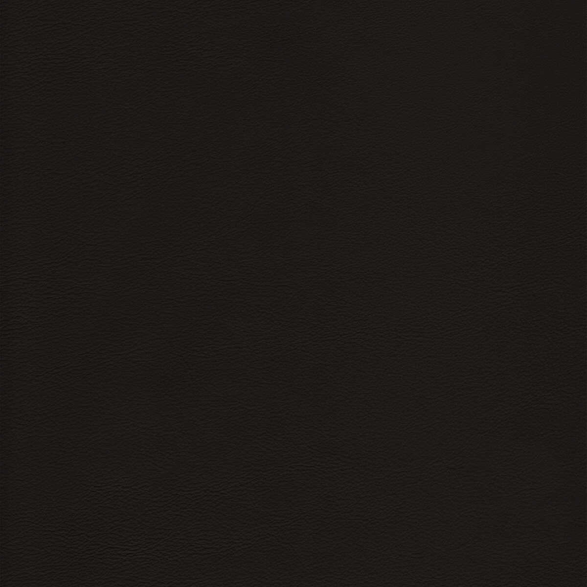 Kravet Design - L-Howdy-Cappuccino - KRAVET DESIGN Fabric