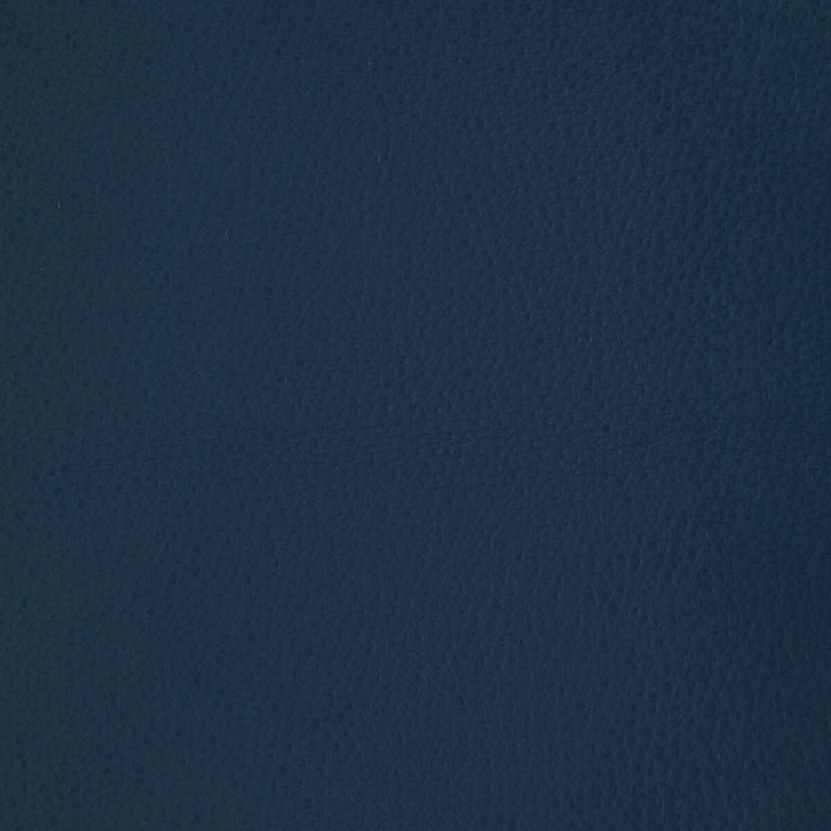 Kravet Design - L-Howdy-Capri - KRAVET DESIGN Fabric