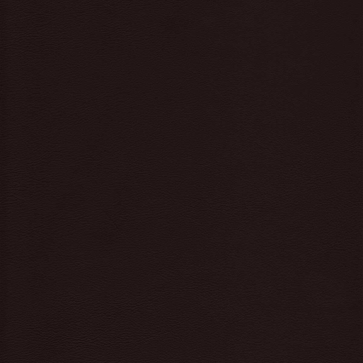 Kravet Design - L-Howdy-Chocolate - KRAVET DESIGN Fabric