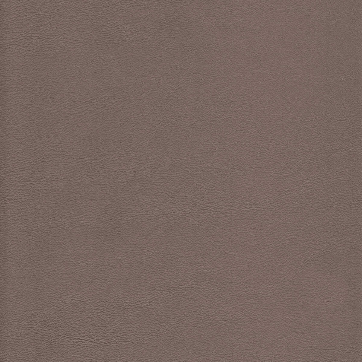 Kravet Design - L-Howdy-Dolphin - KRAVET DESIGN Fabric