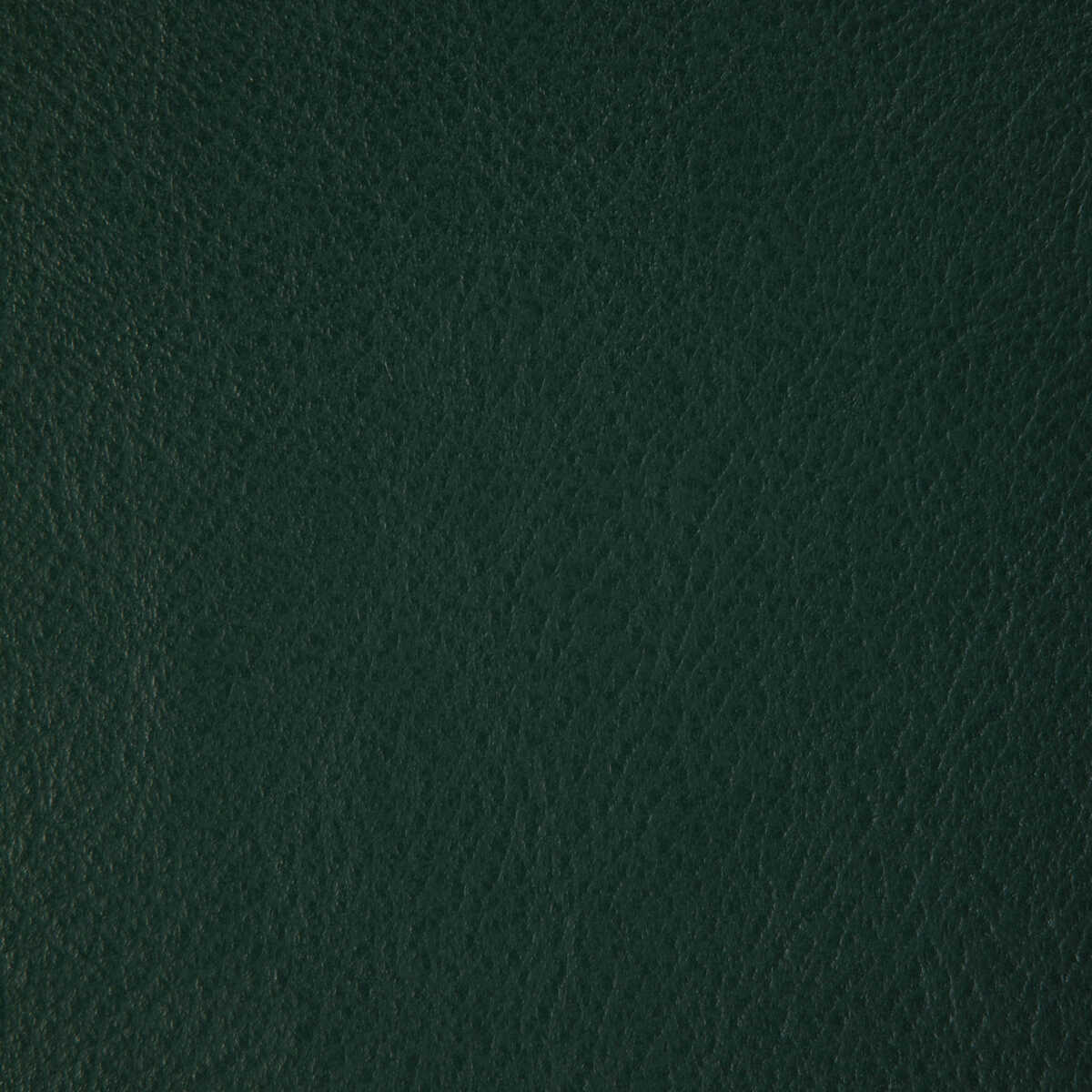 Kravet Design - L-Howdy-Emerald - KRAVET DESIGN Fabric