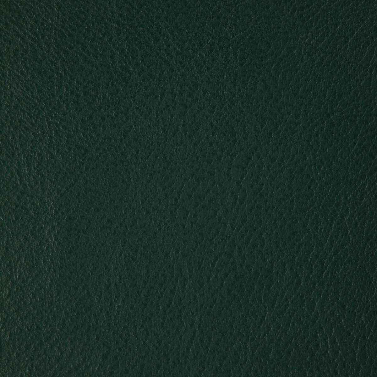 Lhowdyemerald0 Kravet Design L Howdy Emerald Kravet Design Fabric - KRAVET DESIGN Fabric