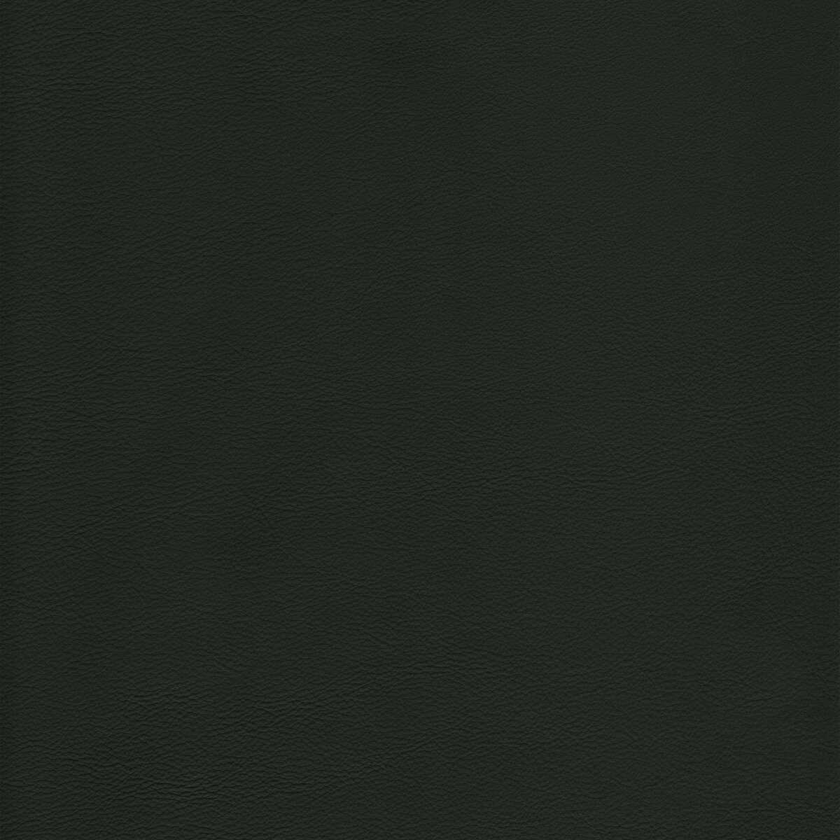 Kravet Design - L-Howdy-Evergreen - KRAVET DESIGN Fabric