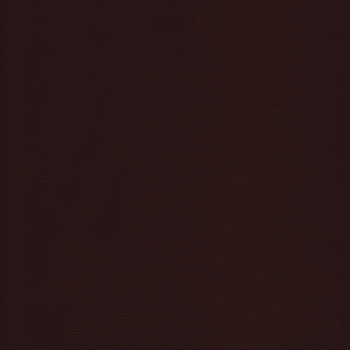 Kravet Design - L-Howdy-Mocha - KRAVET DESIGN Fabric